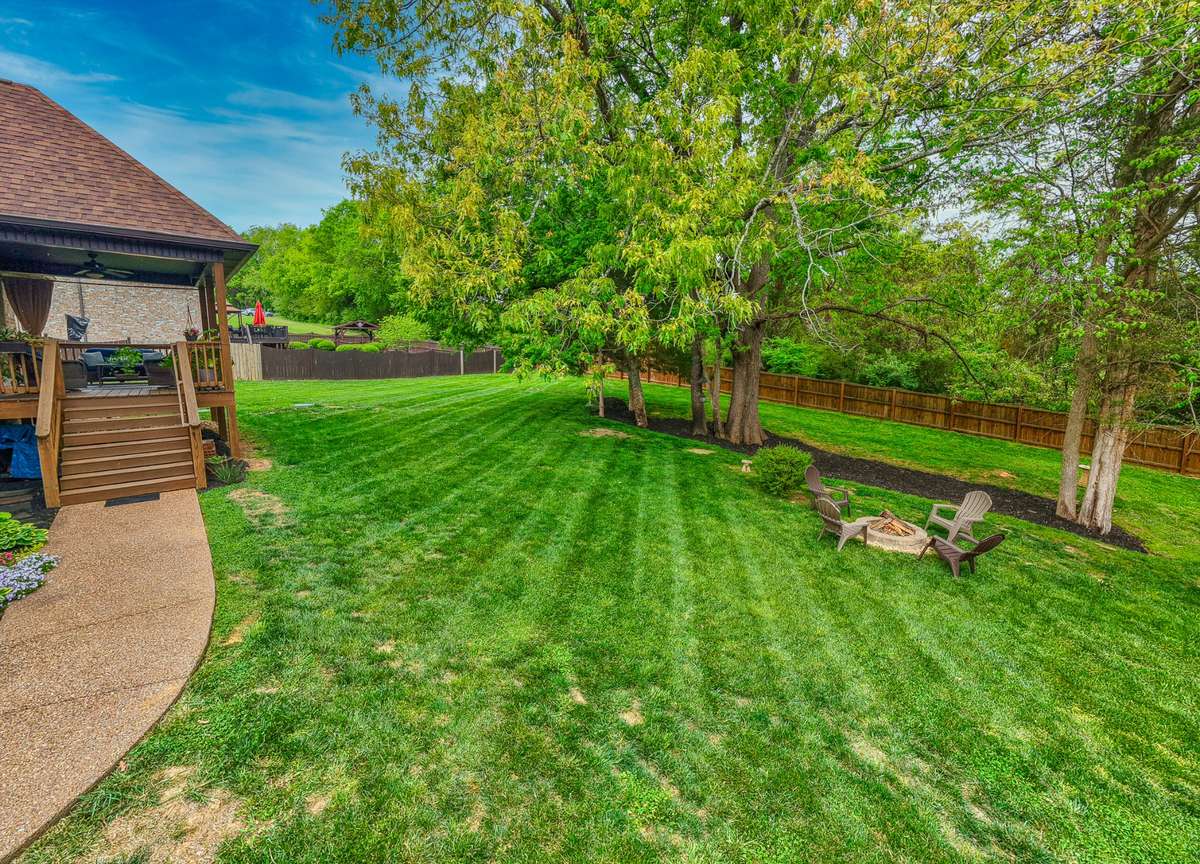 Another view of the park-back yard