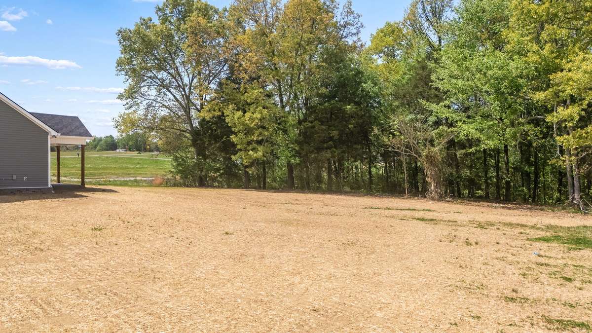 Back yard goes into the tree line for extra privacy