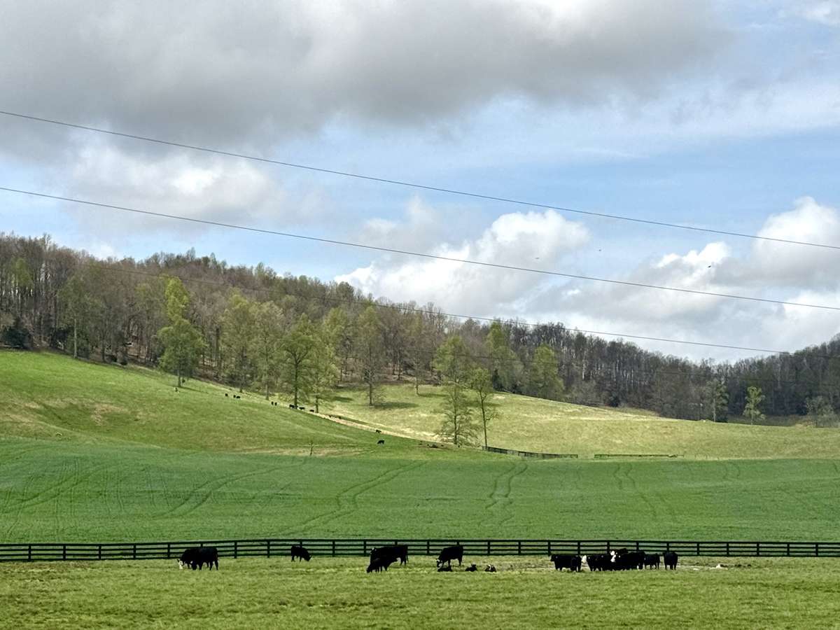 A view going to the home and the golf course...just beautiful!