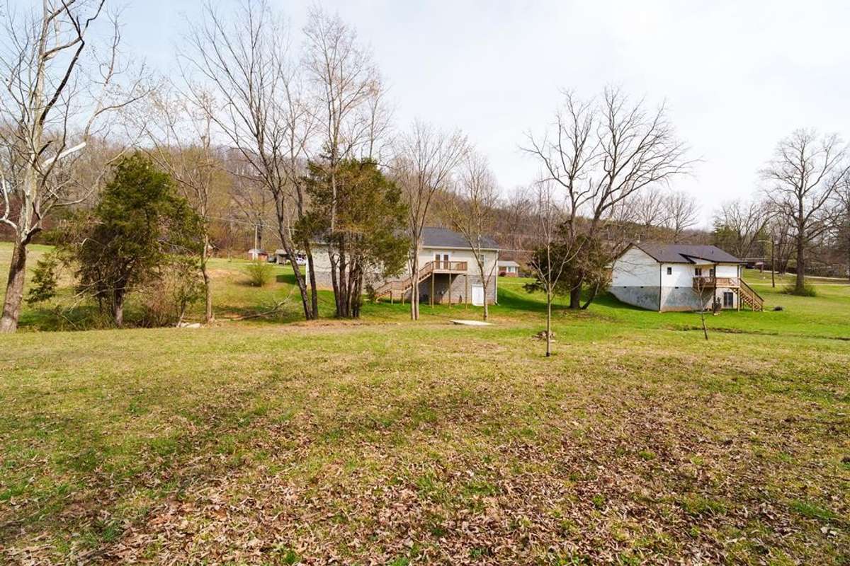 Back of yard - lots of potential