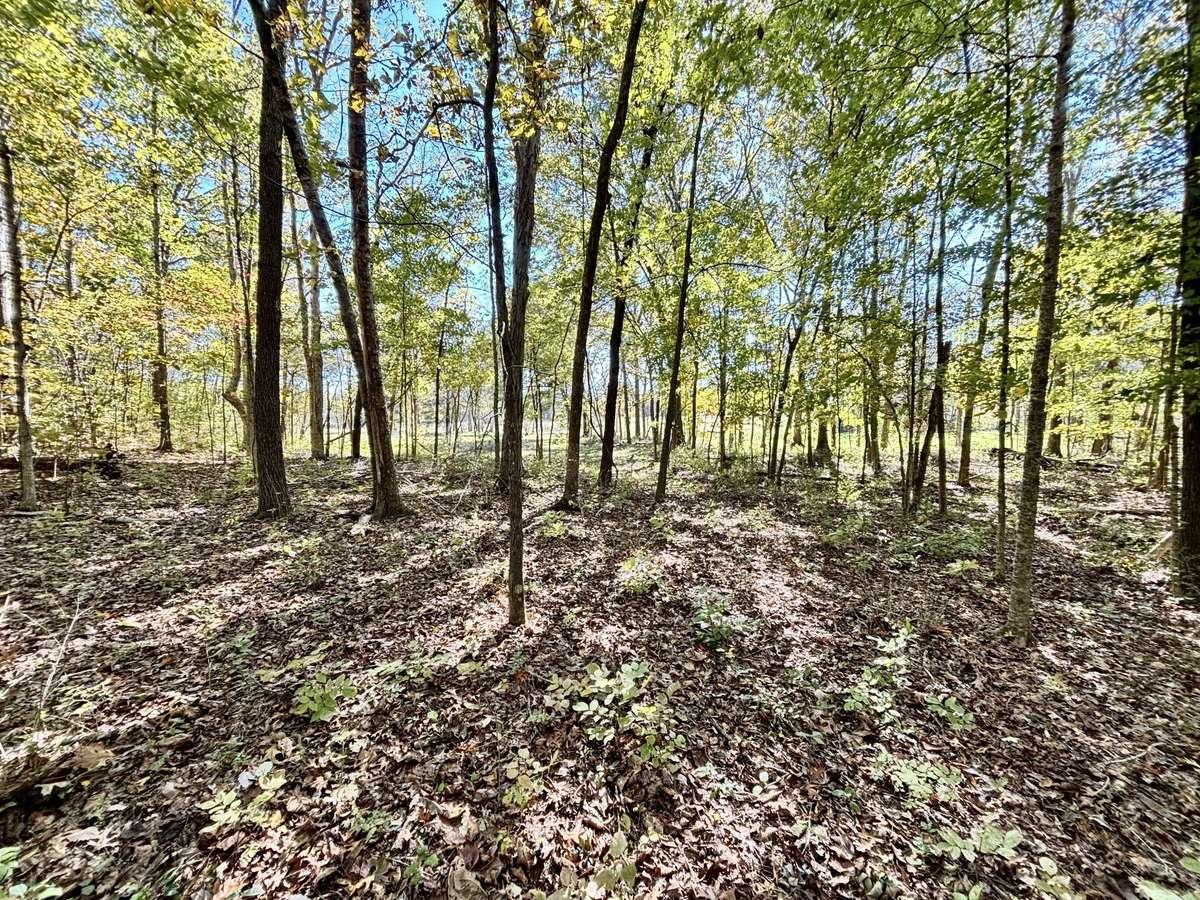 6-acre property cleared, level, wooded, & ready to Build Your Dream Home! Located in Spring Hill, TN!