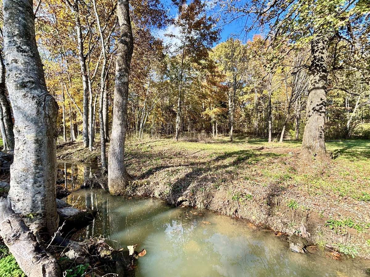 6-acre property cleared, level, wooded, & ready to Build Your Dream Home! Located in Spring Hill, TN!