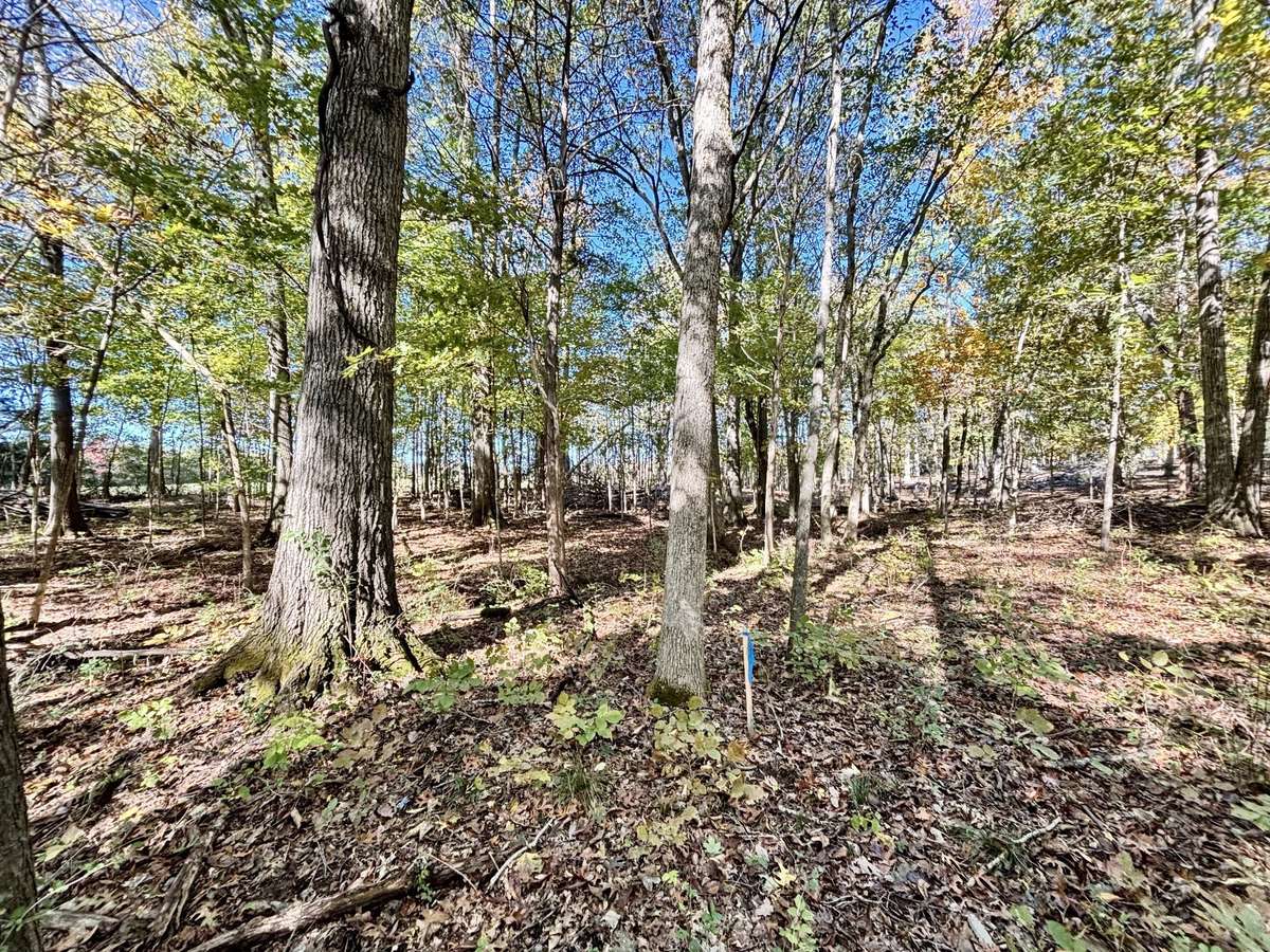 6-acre property cleared, level, wooded, & ready to Build Your Dream Home! Located in Spring Hill, TN!