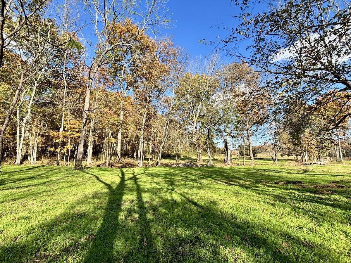 6-acre property cleared, level, wooded, & ready to Build Your Dream Home! Located in Spring Hill, TN!