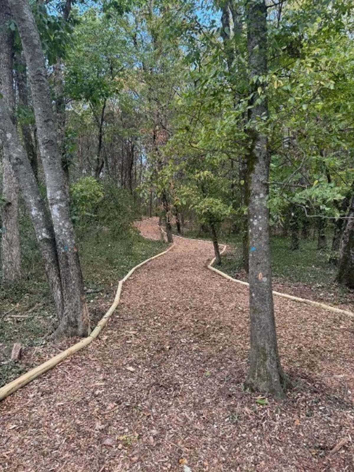 Unique Walking Trail at Back of Property.  Leads to Pickle Ball Court and Dog Stations.