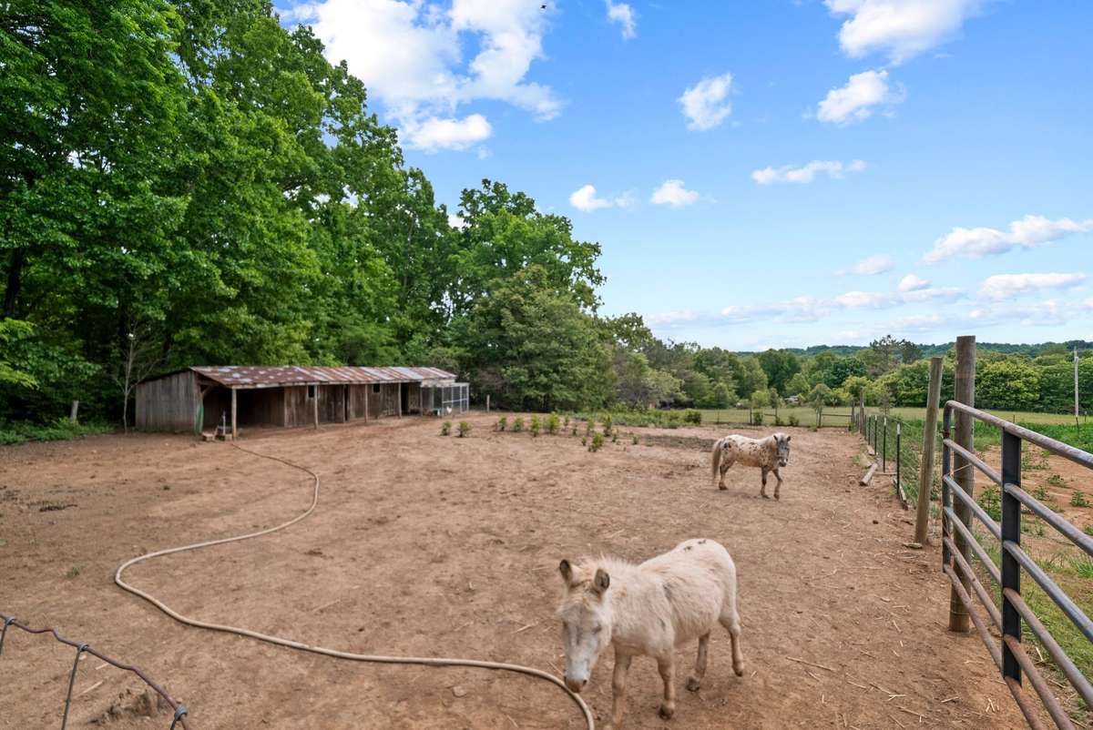 Stables with stalls for livestock and running water. There is a chicken coop.