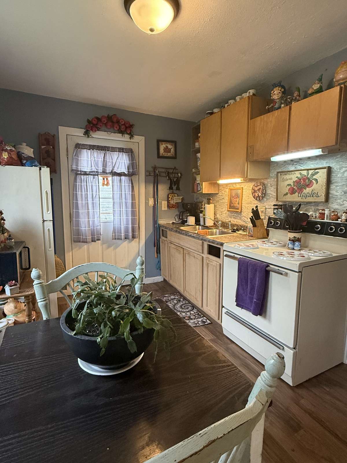 Tiny house kitchen