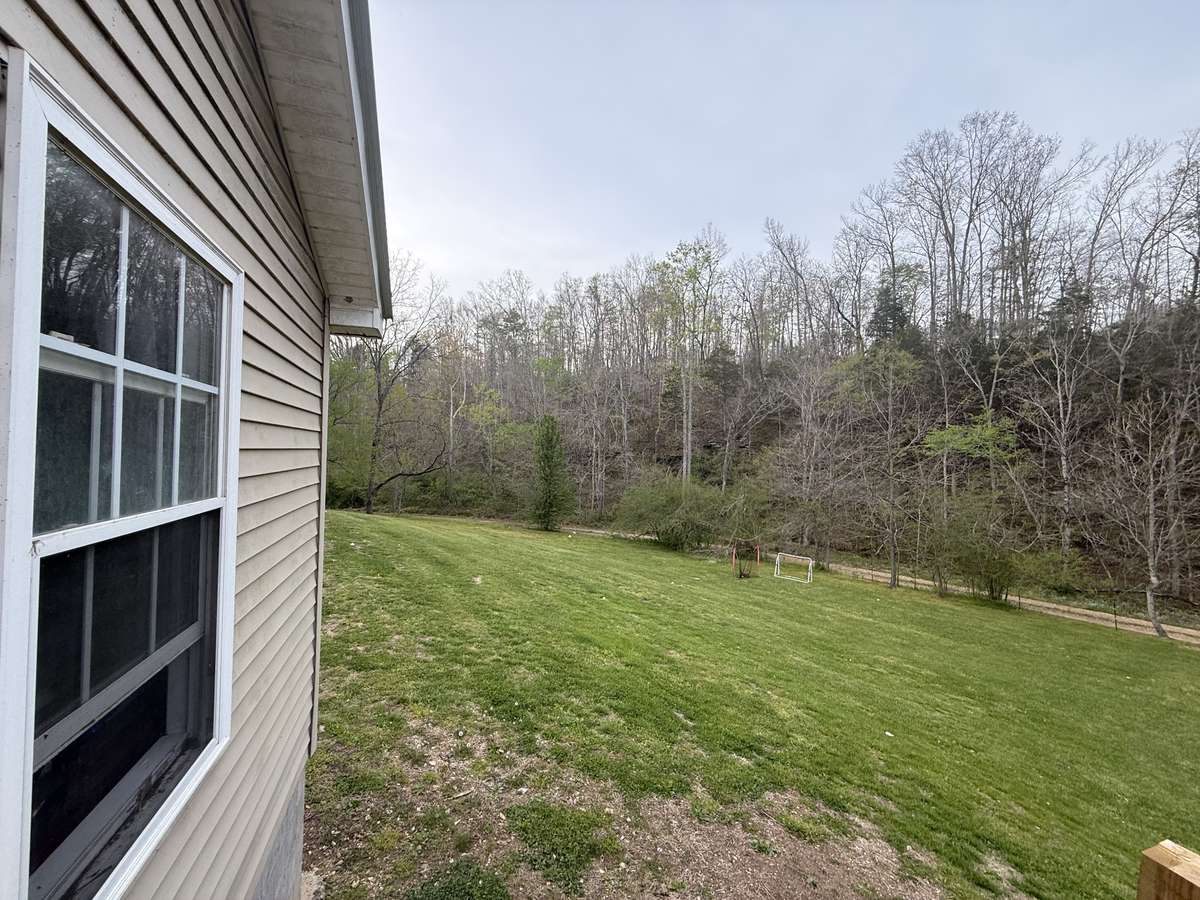 View from tiny house.