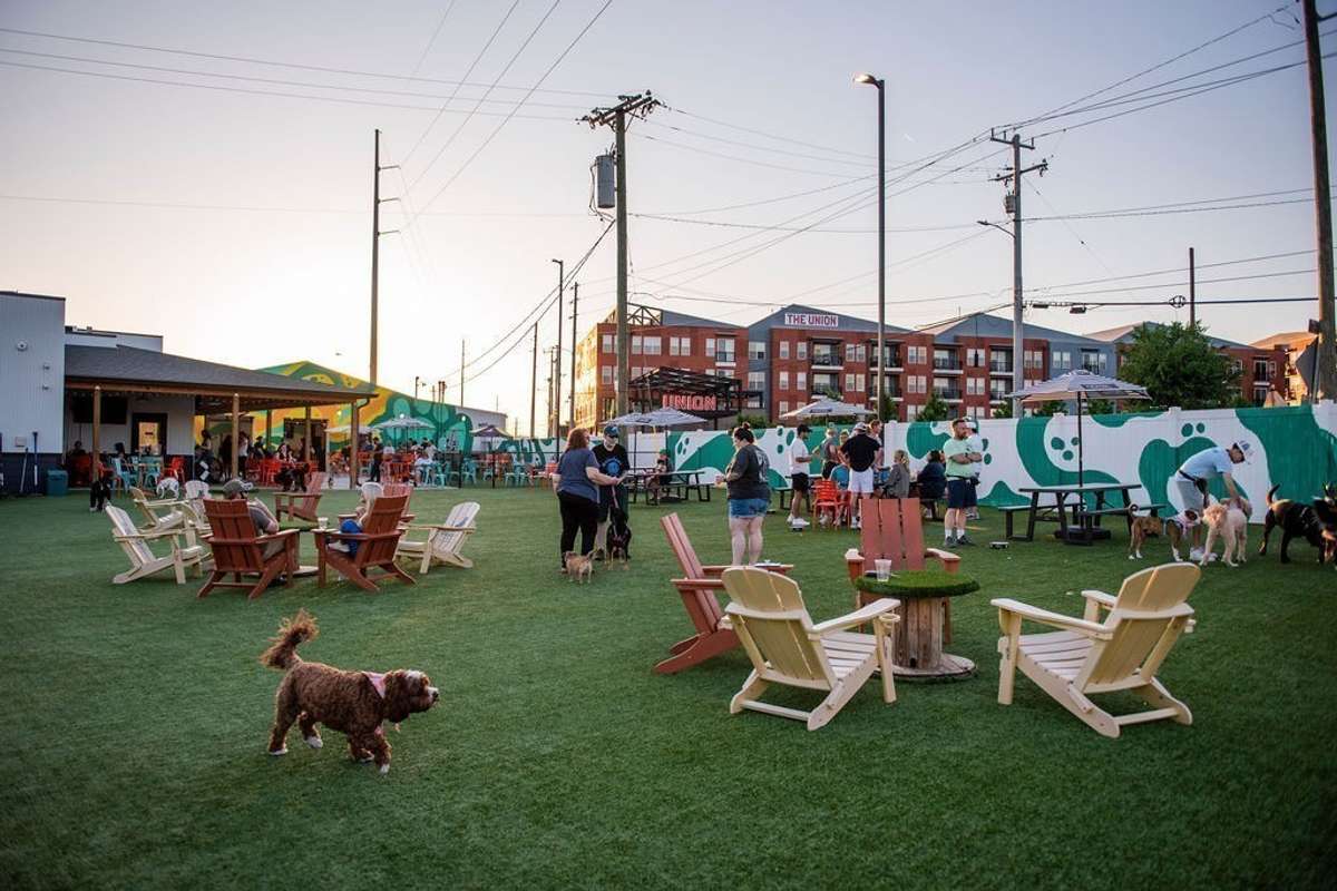 Urban Dog Bar