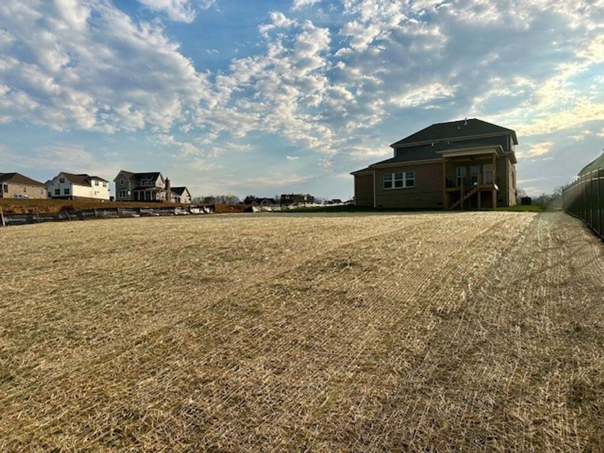 Look at all this back yard space!