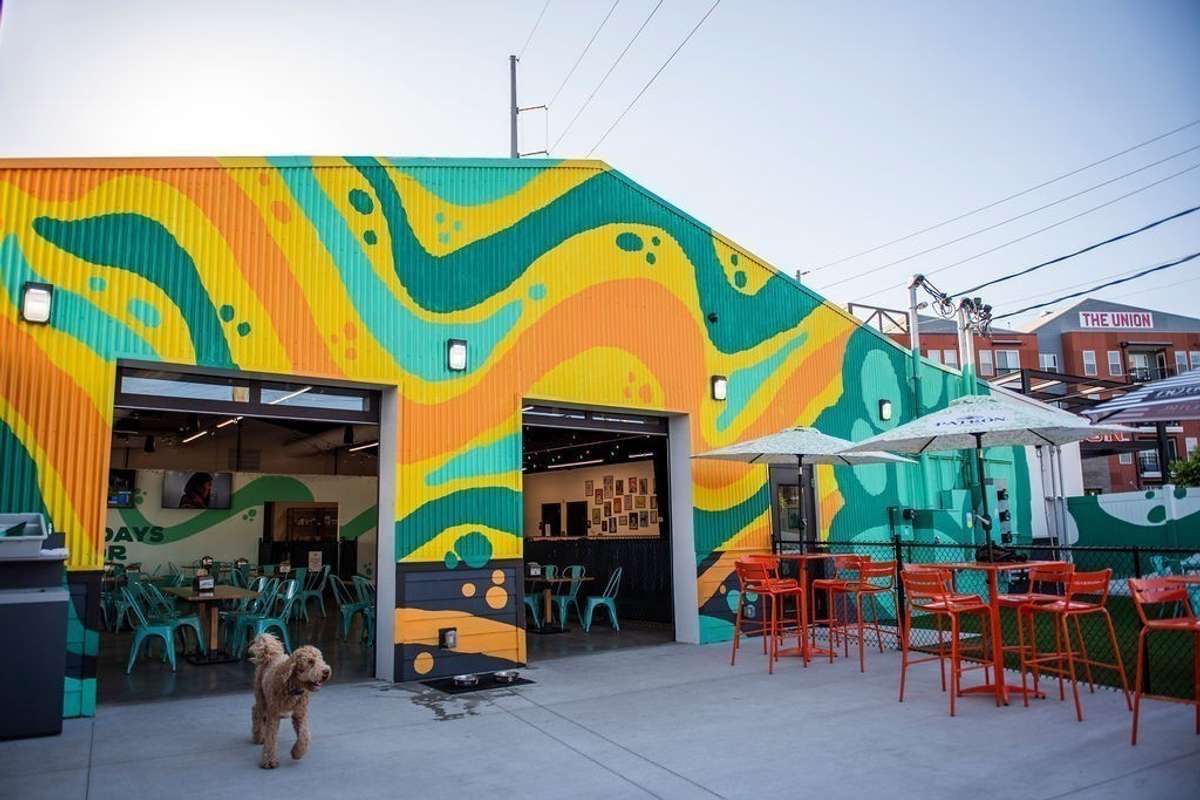 Urban Dog Bar