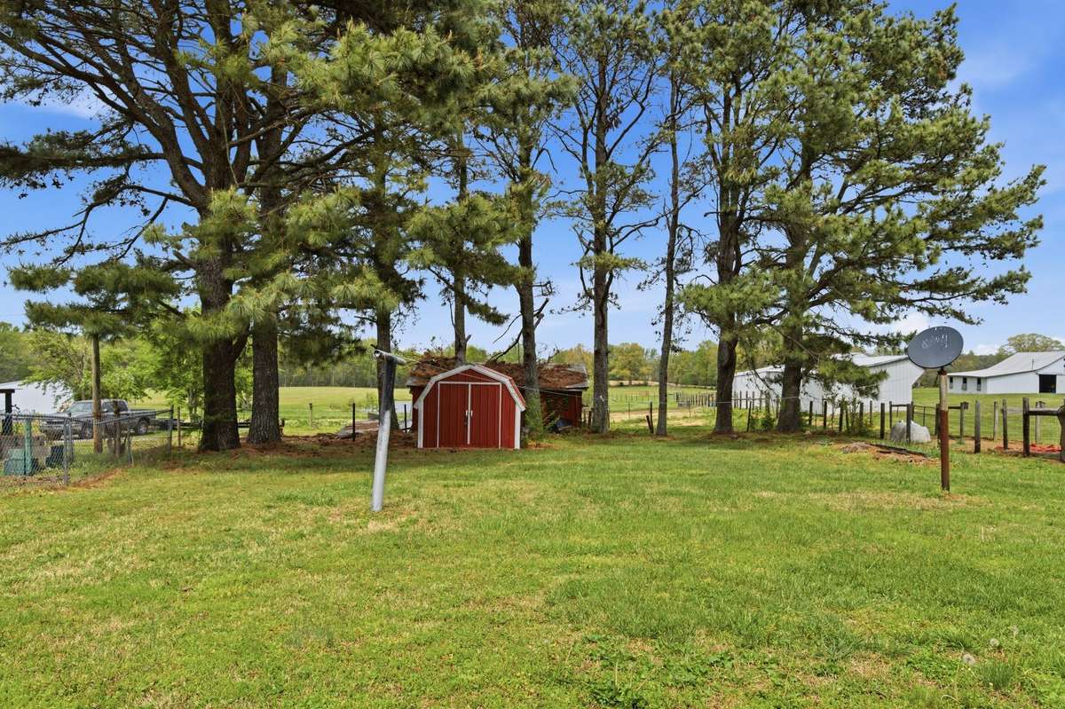 Back yard. Shed will stay.