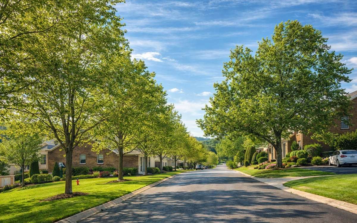 Picturesque tree-lined streets lead you to your tranquil townhome.