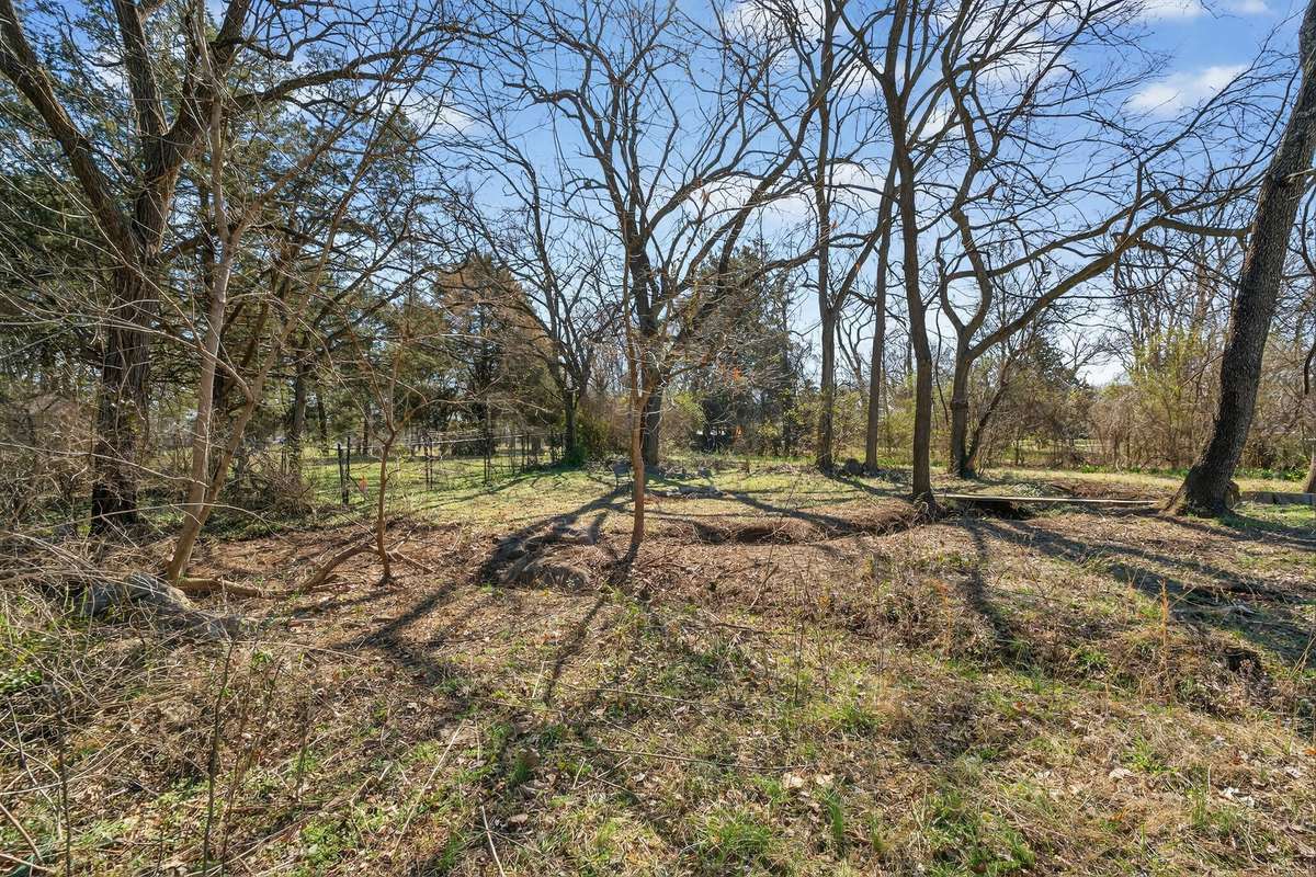 mature trees and large backyard