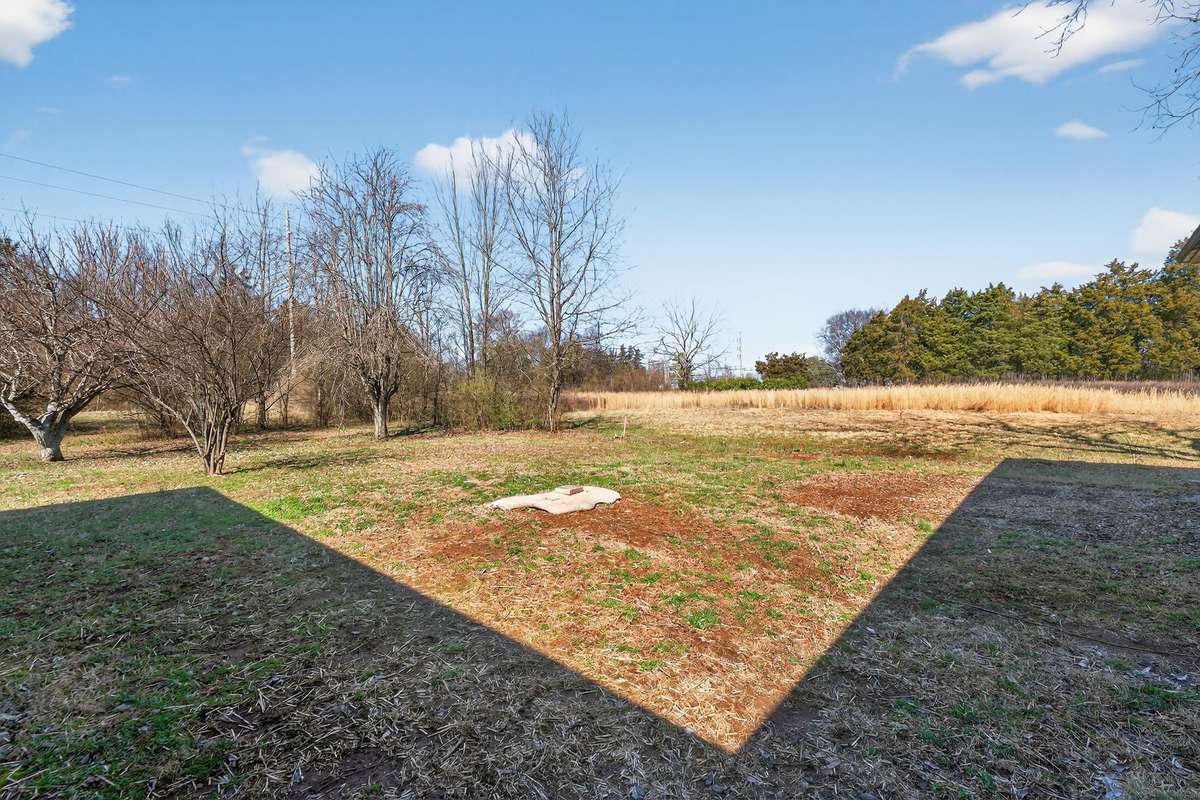 Large backyard with lots of trees