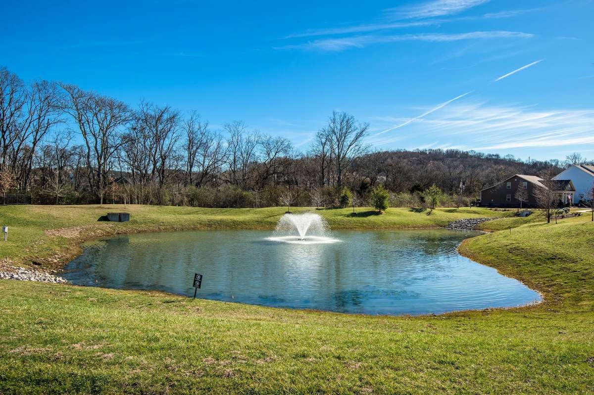 Neighborhood pond.