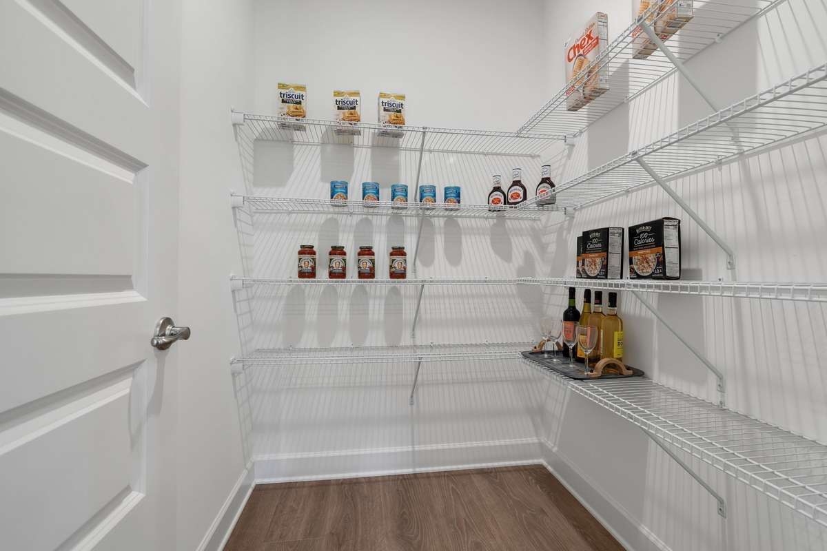 Stock Model Photo. Huge Walk-In Pantry!