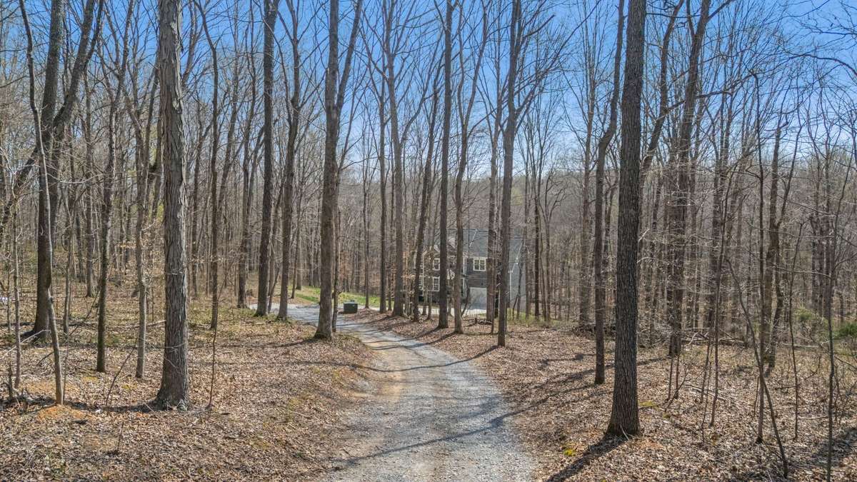The long driveway sets the tone before you even reach the house.