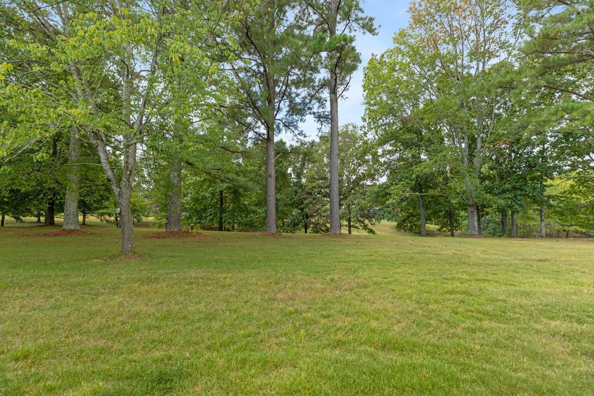 Plenty of mature trees.