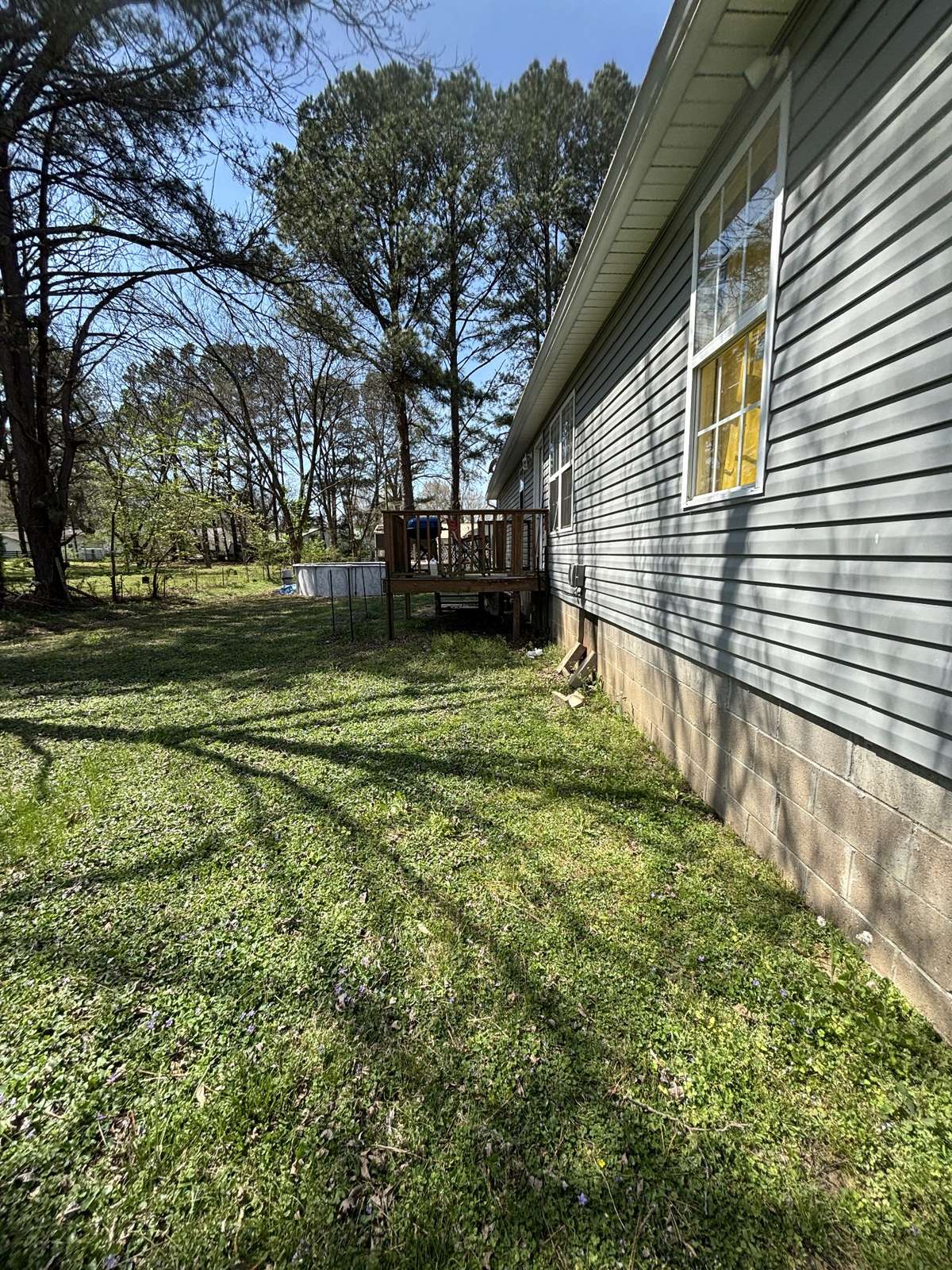 Large back yard