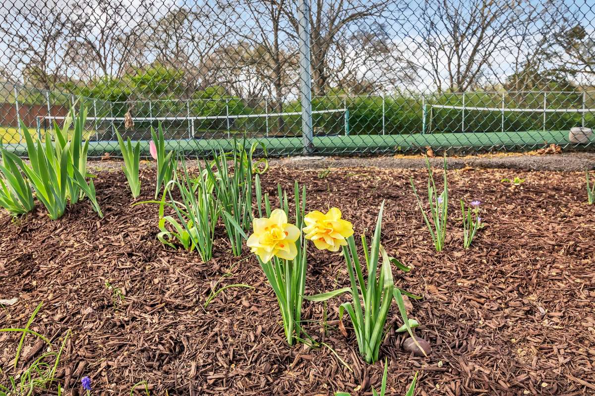 Tennis Courts in the Community