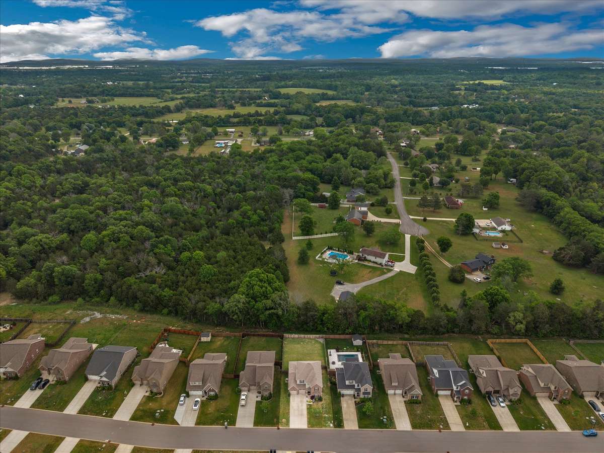 Aerial view of the lot and surrounding neighbors.