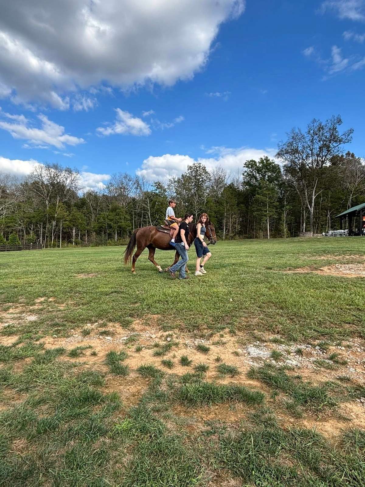 giddy up! Another fall festival event is the horse rides.