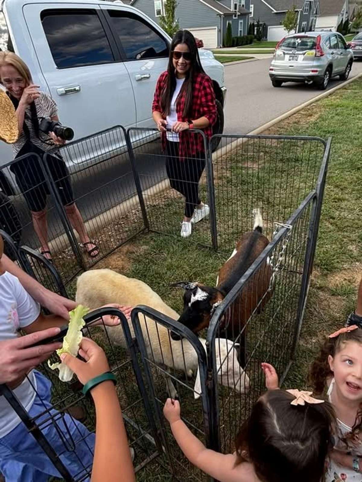 And the petting zoo is always a big hit for the festival