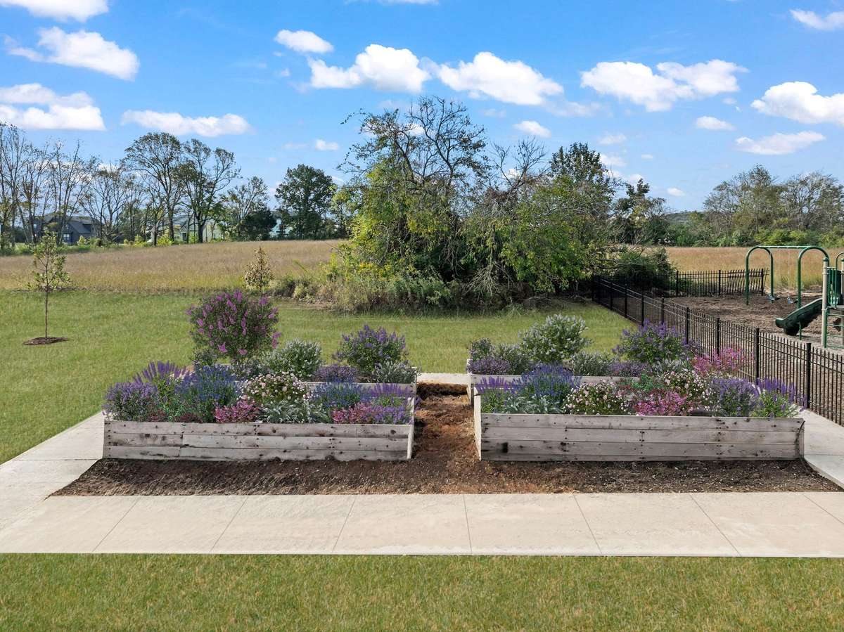 Community Garden