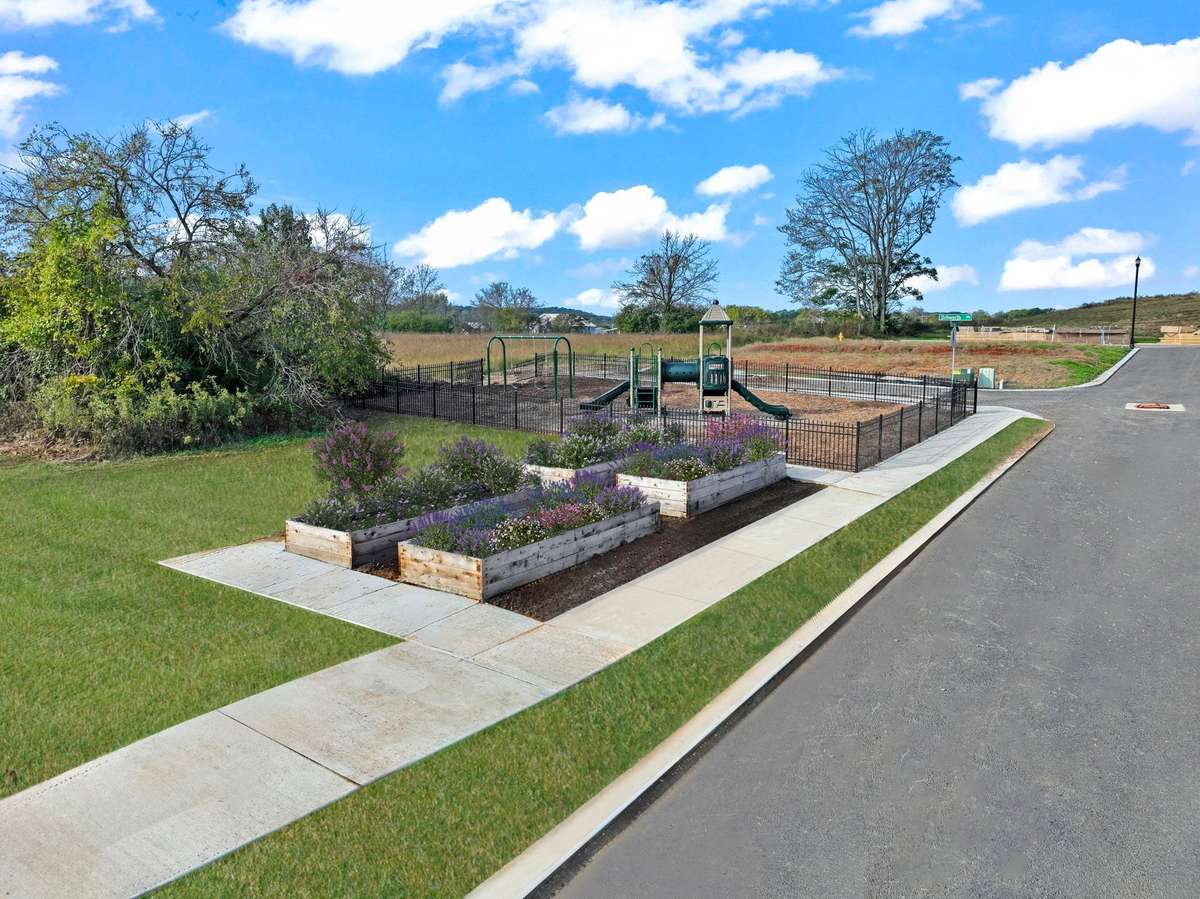 Community Garden