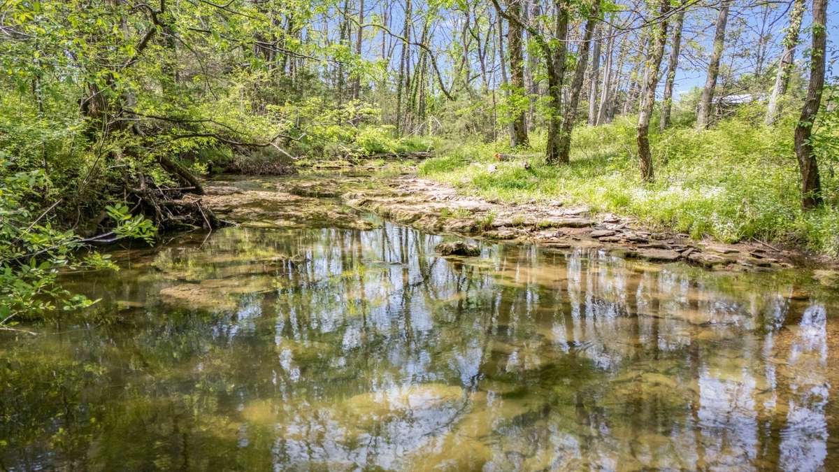 Peaceful, year-round creek meandering through the property—offering a serene natural setting, mature trees, and the perfect backdrop for relaxing, exploring, or enjoying true Tennessee country living.