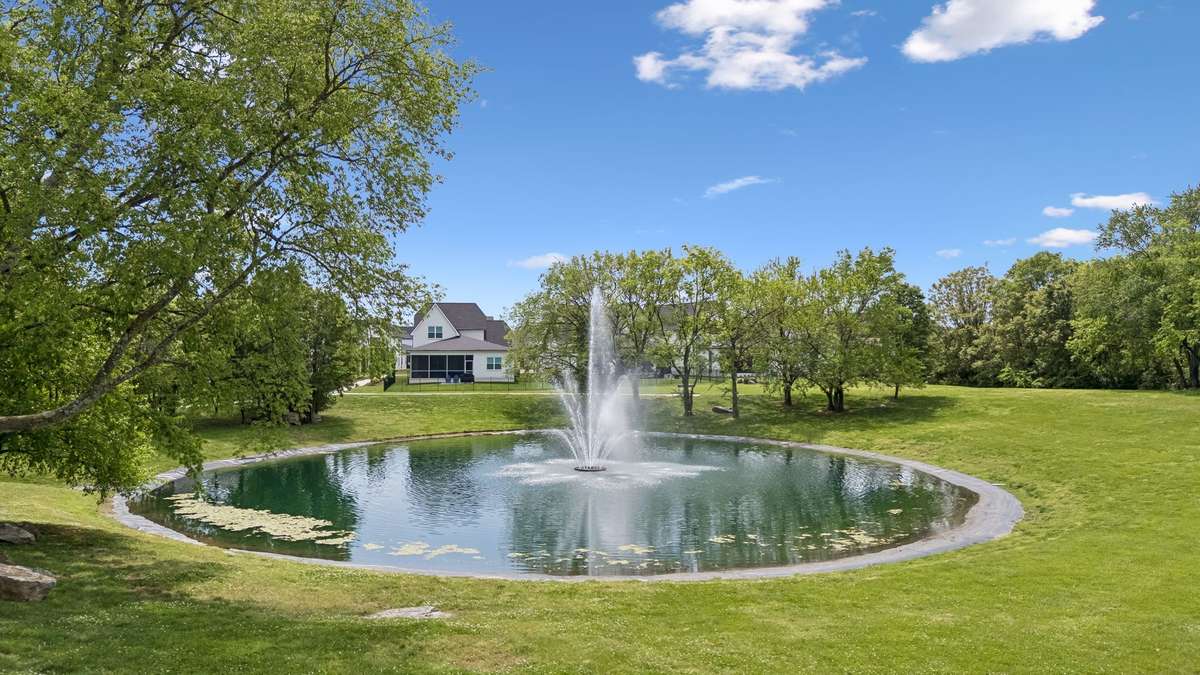 Pond and park view from the front door.