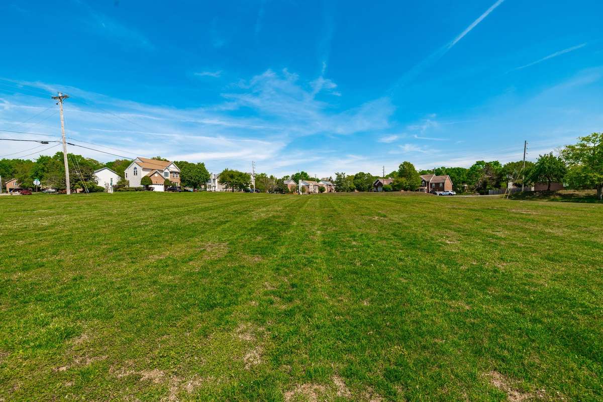 large common field for gatherings, events and dogs