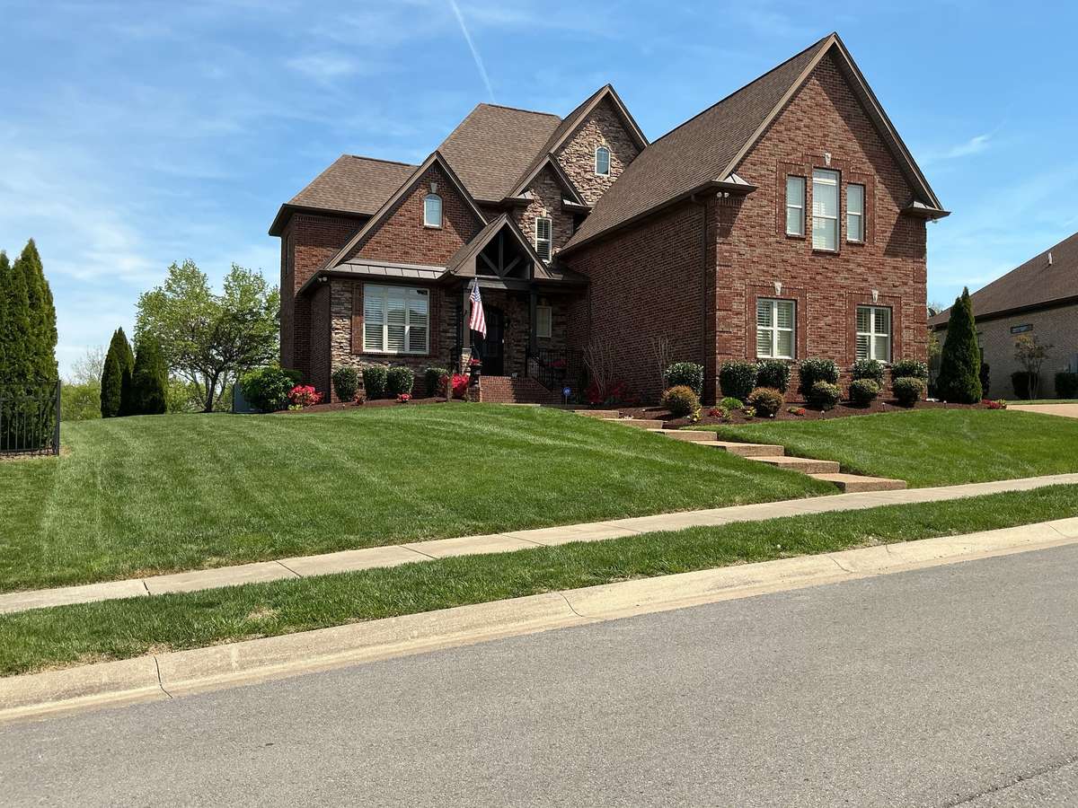 Beautiful Yard