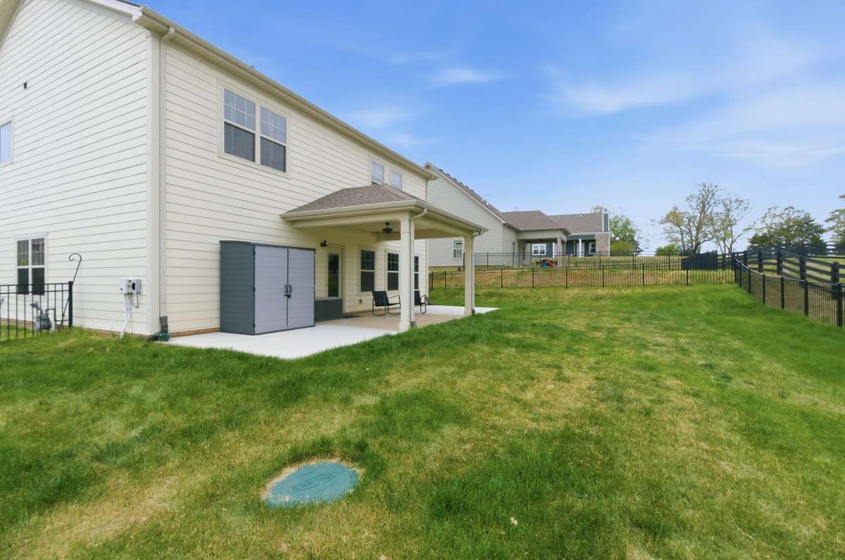 Fescue Sod yard
