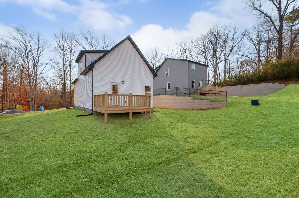 Green grass edit - back yard