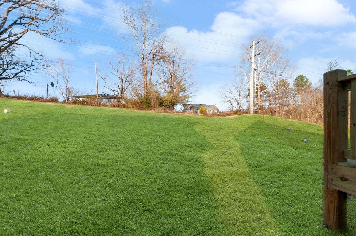 Green grass edit - back yard