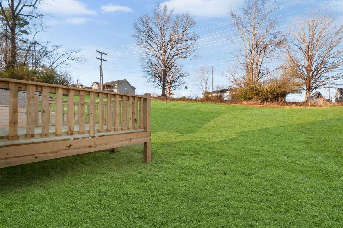 BACK YARD - ** green grass edit **
