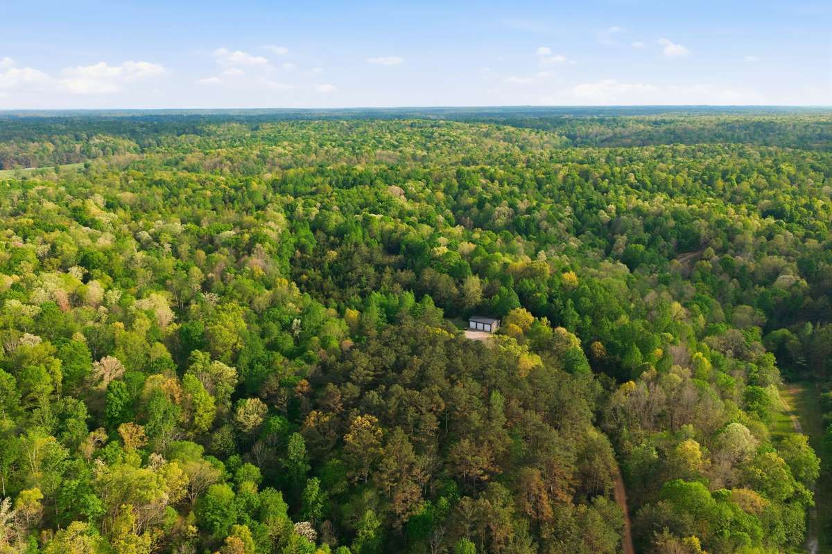 The homesite is completely surrounded by trees and creates the perfect habitat for wildlife galore!