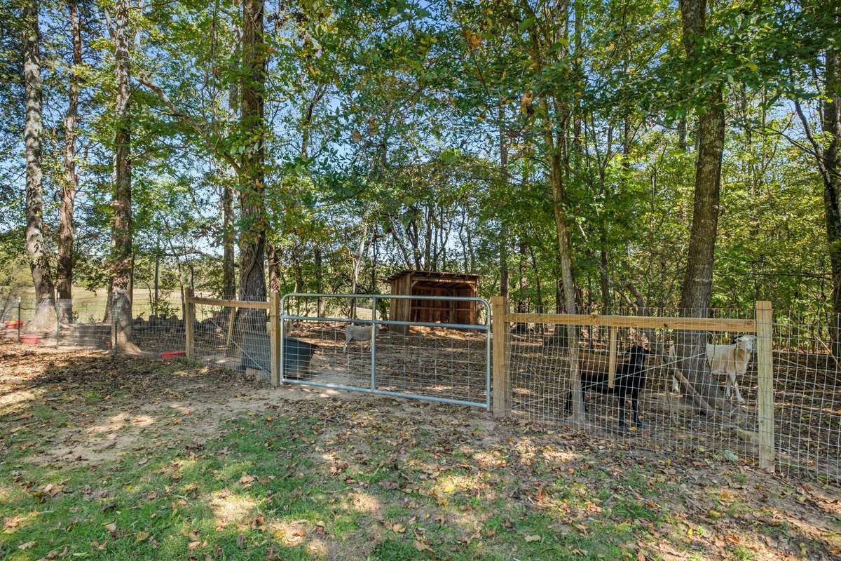 Sheep pen off to the side of the yard