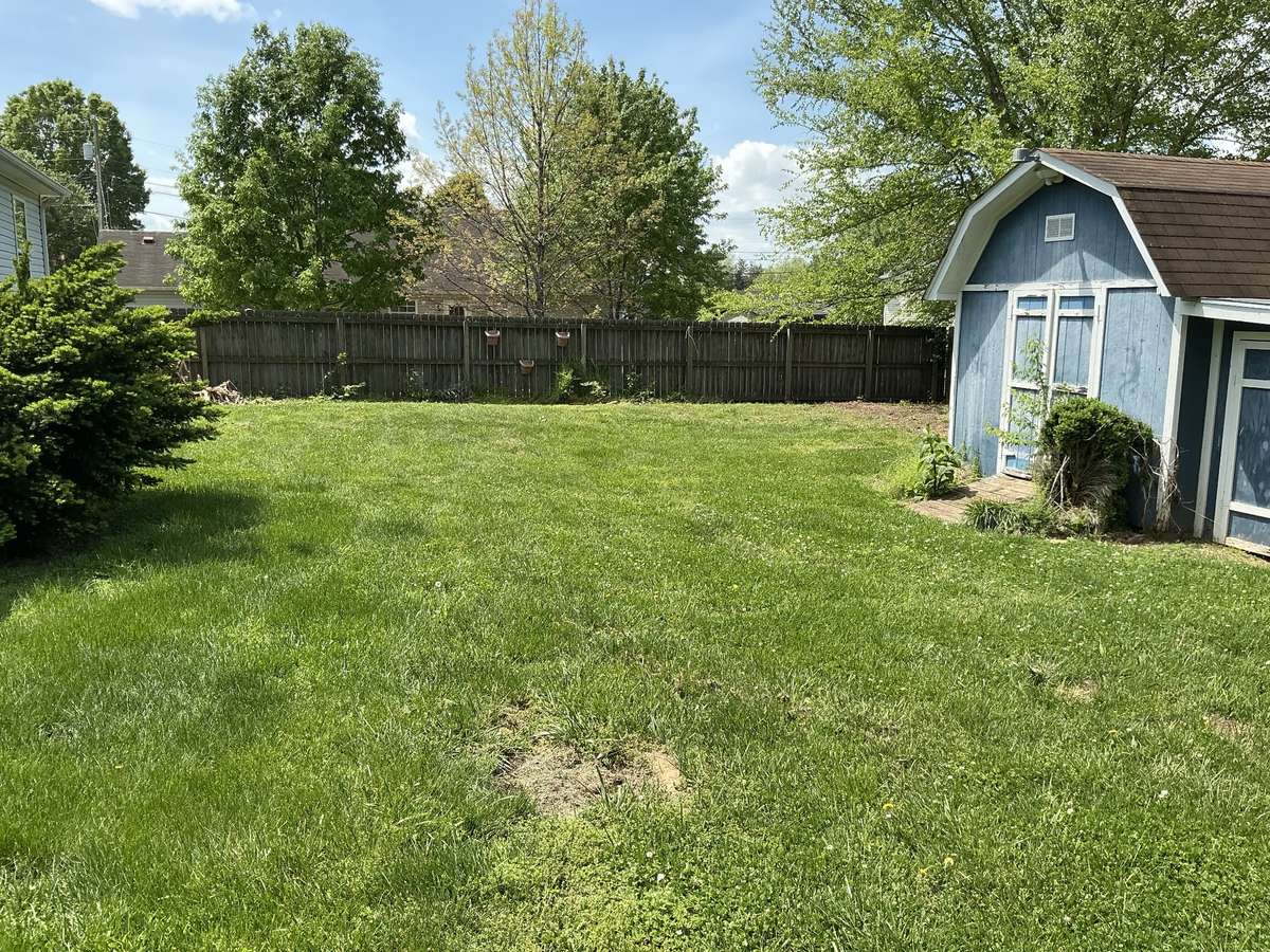Back Yard