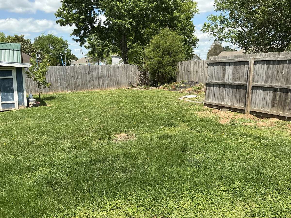 Back Yard