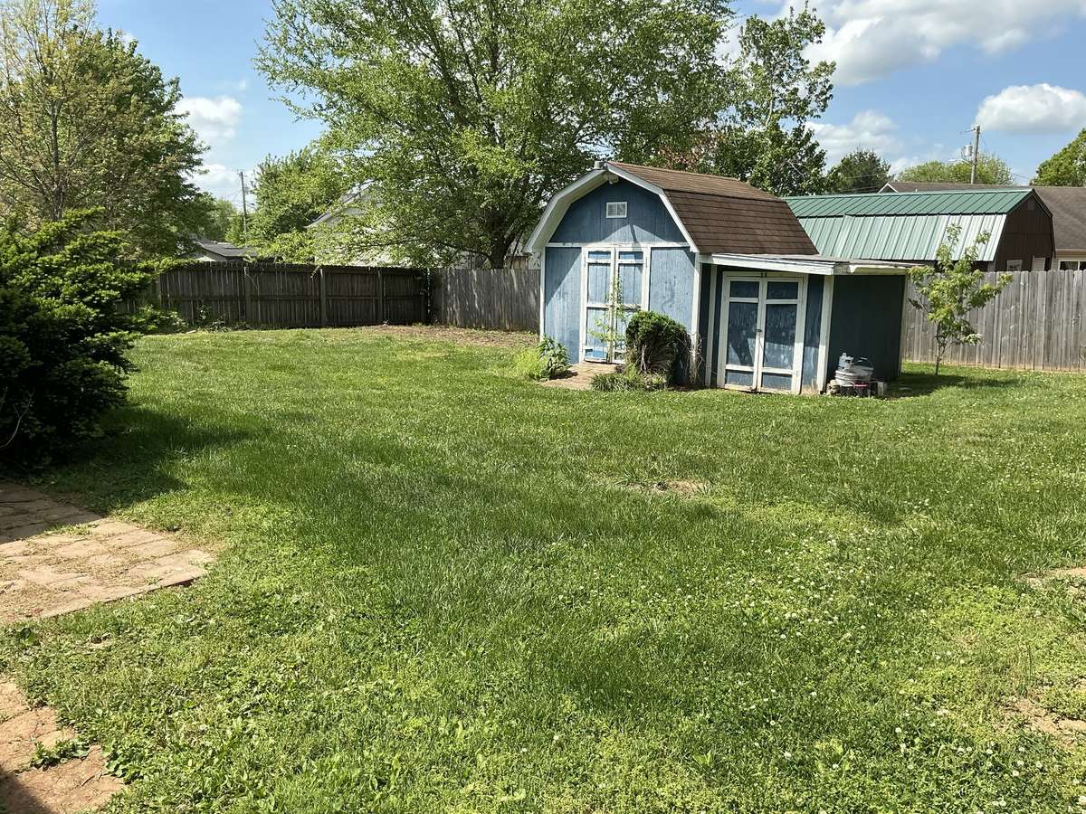 Back Yard
