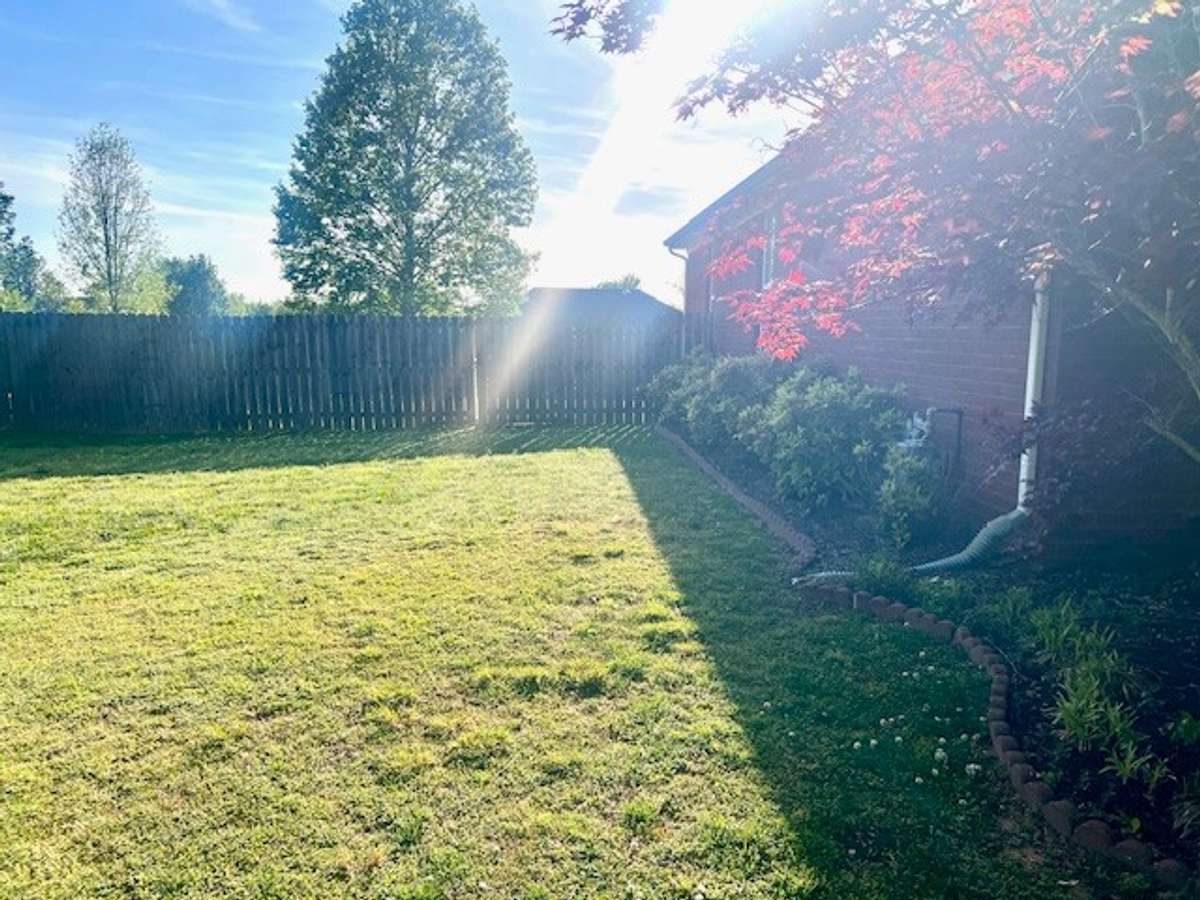 Side Yard