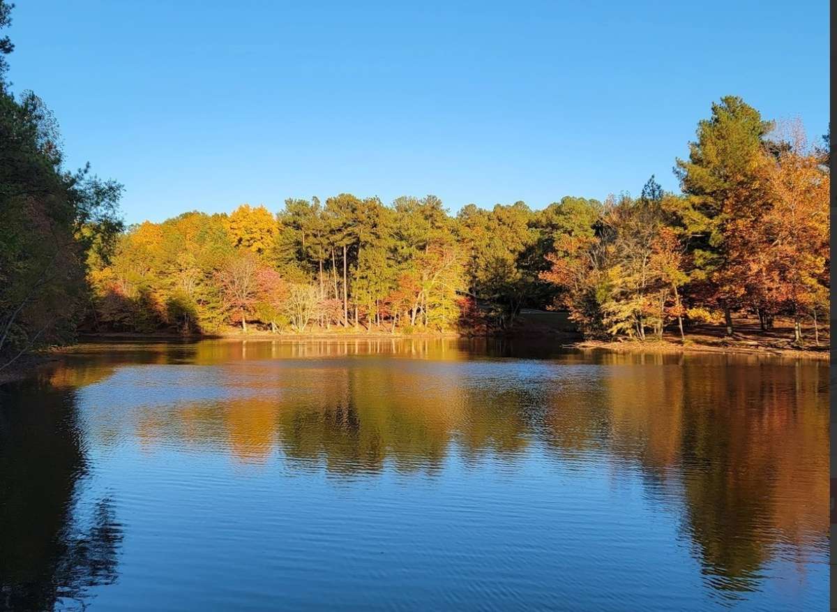 Nearby Bowie Nature Park