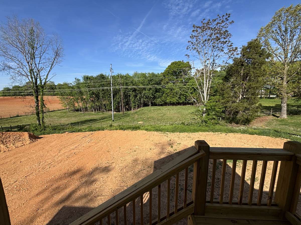 view of backyard
