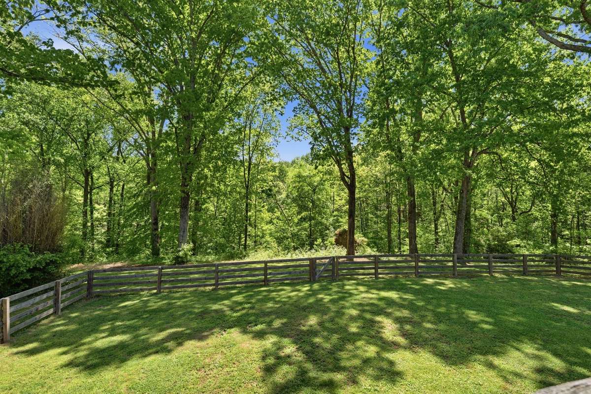 HERE'S A LOOK FROM THE DECK - BEAUTIFUL TREES LINE THE BACK YARD