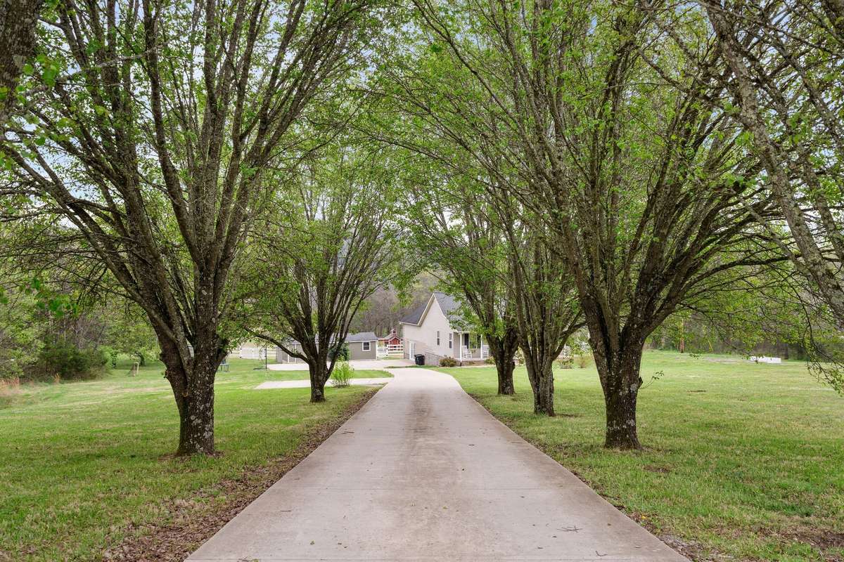Gorgeous tree lined driveway!