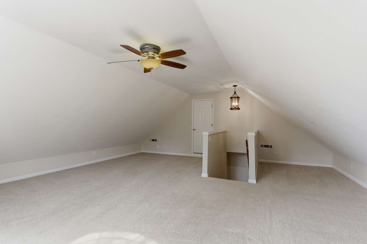 Light-gilled bonus space
