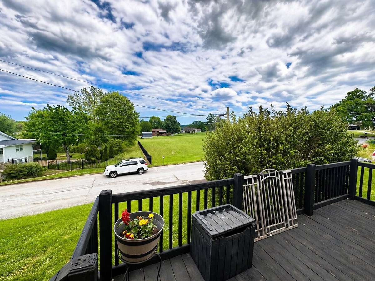 View from front door. A dog park is a one minute walk away across the road.